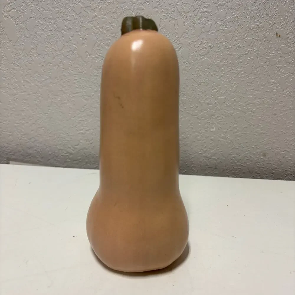 Vtg Patricia Garrett Butternut Autumn Squash Pottery Vase 8